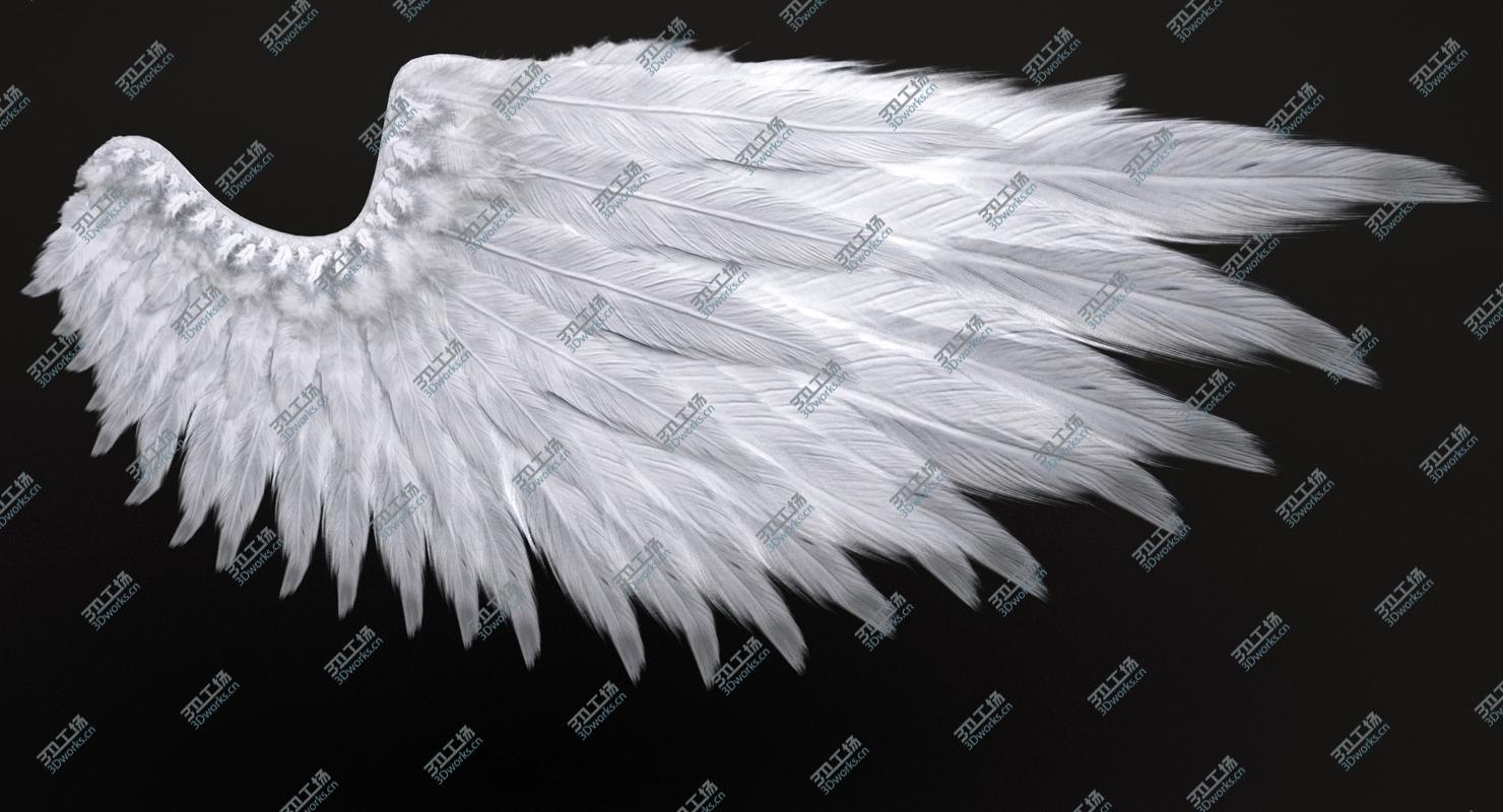images/goods_img/202105072/3D Angel Wings/5.jpg